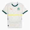 Maillot de Foot Côte d Ivoire Exterieur 2025